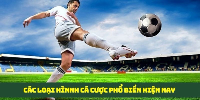 Các hình thức cược phổ biến cần nắm