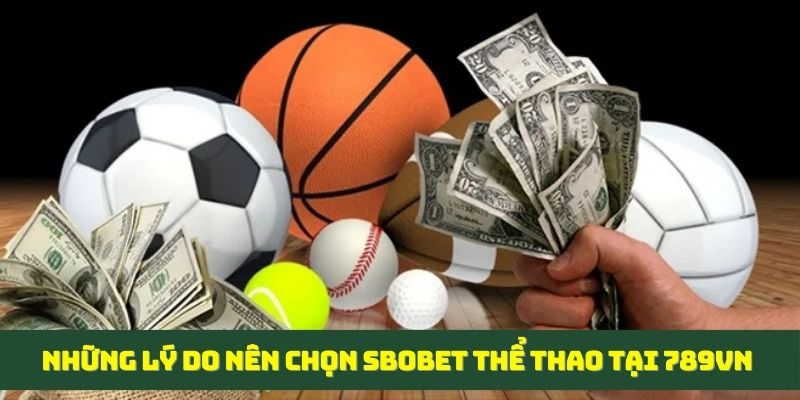 Chia sẻ những lý do nên chọn sbobet thể thao