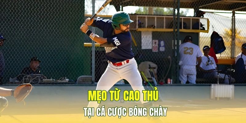 Kinh nghiệm soi kèo chuẩn từ chuyên gia bóng chày